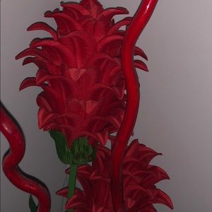 Meet your Posher, Brenda